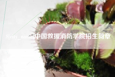 漳州中国救援消防学院招生简章