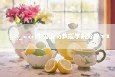 漳州中国消防救援学院分数2020