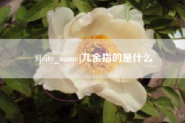 漳州九金指的是什么