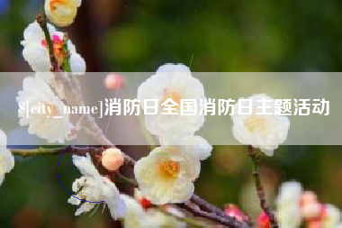 漳州消防日全国消防日主题活动