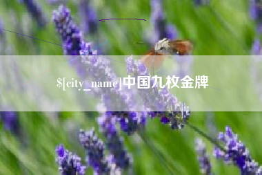 漳州中国九枚金牌