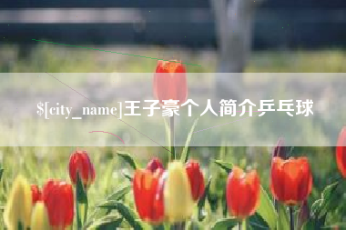 漳州王子豪个人简介乒乓球