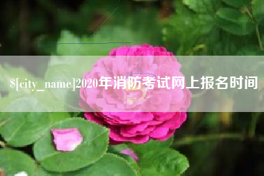漳州2020年消防考试网上报名时间