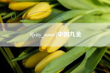 漳州中国九金