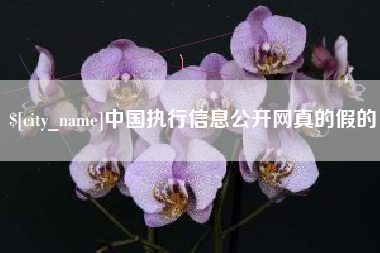 漳州中国执行信息公开网真的假的