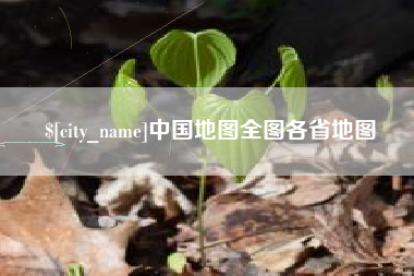 漳州中国地图全图各省地图