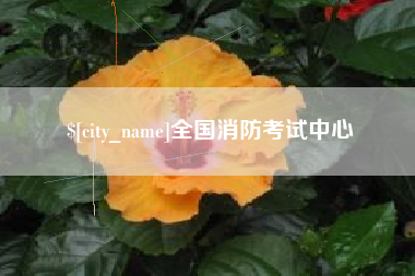 漳州全国消防考试中心