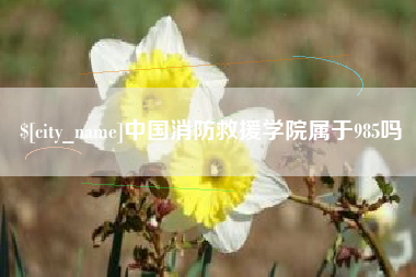 漳州中国消防救援学院属于985吗