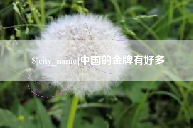 漳州中国的金牌有好多