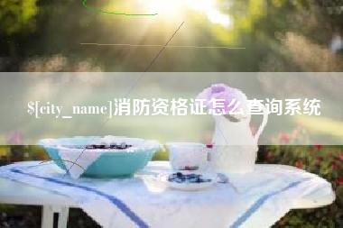 漳州消防资格证怎么查询系统