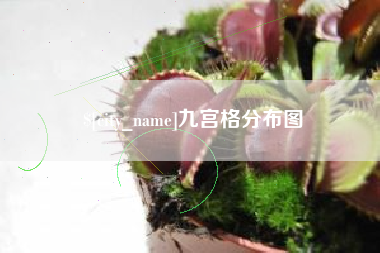 漳州九宫格分布图