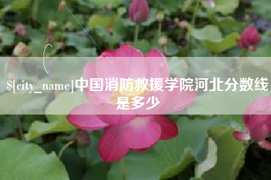 漳州中国消防救援学院河北分数线是多少