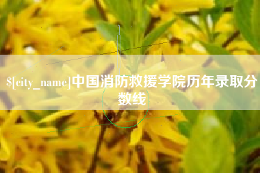 漳州中国消防救援学院历年录取分数线