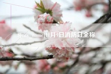 漳州11月9日消防日全称