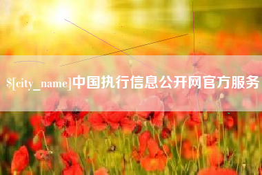 漳州中国执行信息公开网官方服务