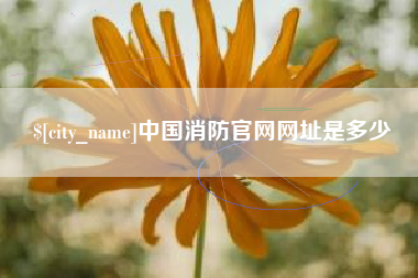 漳州中国消防官网网址是多少