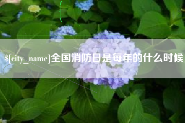 漳州全国消防日是每年的什么时候