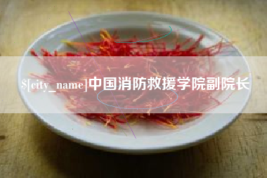 漳州中国消防救援学院副院长