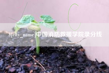 漳州中国消防救援学院录分线