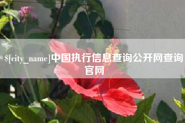 漳州中国执行信息查询公开网查询官网