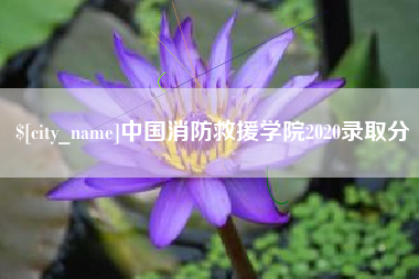 漳州中国消防救援学院2020录取分