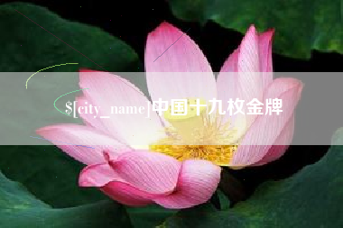 漳州中国十九枚金牌
