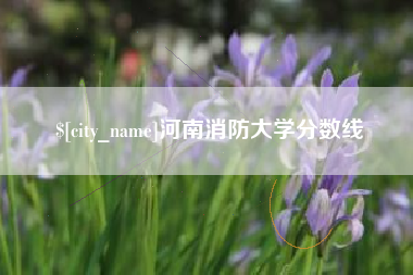 漳州河南消防大学分数线