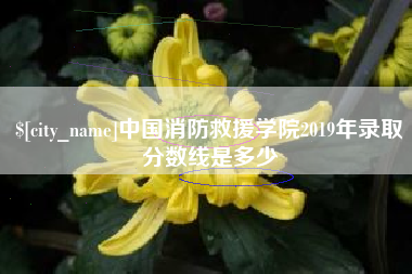 漳州中国消防救援学院2019年录取分数线是多少