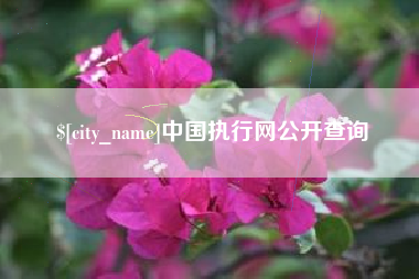漳州中国执行网公开查询
