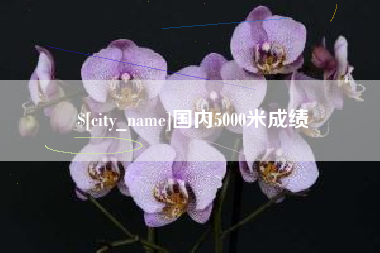 漳州国内5000米成绩