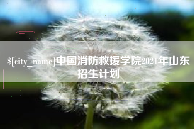 漳州中国消防救援学院2021年山东招生计划