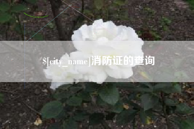 漳州消防证的查询