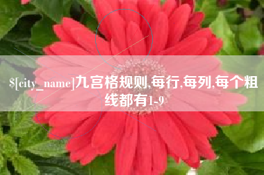 漳州九宫格规则,每行,每列,每个粗线都有1-9