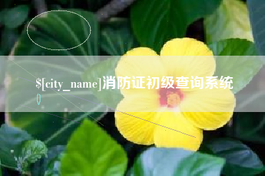漳州消防证初级查询系统