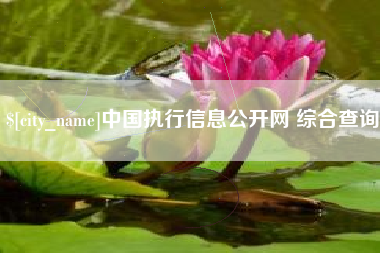 漳州中国执行信息公开网 综合查询