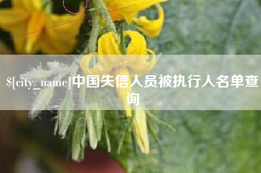 漳州中国失信人员被执行人名单查询