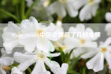 漳州中国金牌得了几枚金牌