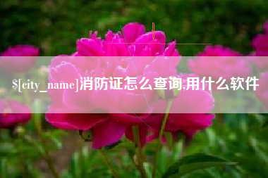 漳州消防证怎么查询,用什么软件