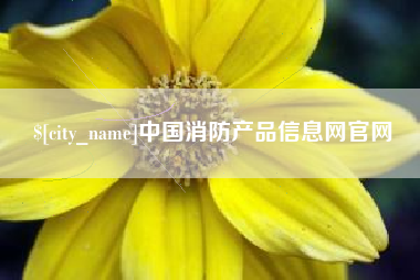 漳州中国消防产品信息网官网