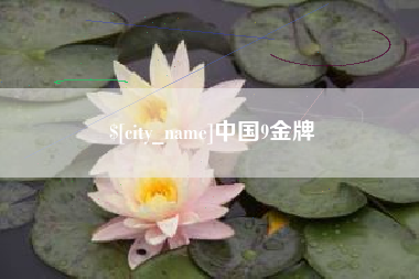 漳州中国9金牌