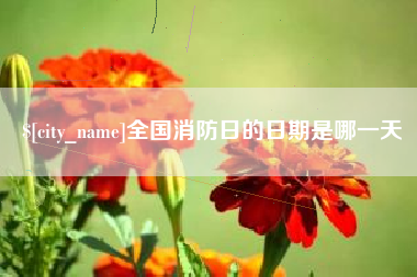漳州全国消防日的日期是哪一天