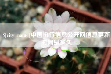 漳州中国执行信息公开网信息更新时间是多久
