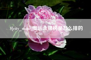 漳州奥运金牌榜是怎么排的