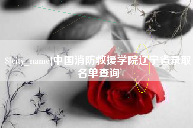 漳州中国消防救援学院辽宁省录取名单查询