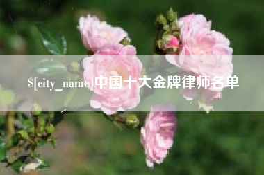 漳州中国十大金牌律师名单