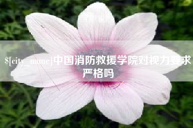 漳州中国消防救援学院对视力要求严格吗
