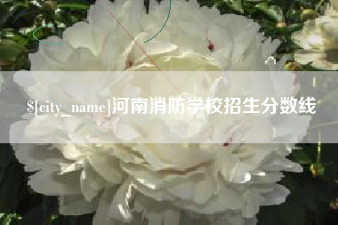 漳州河南消防学校招生分数线