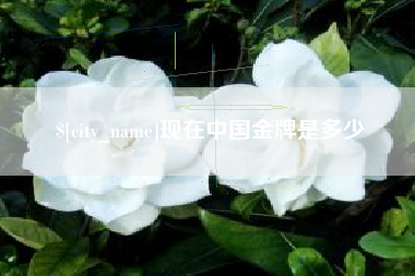 漳州现在中国金牌是多少