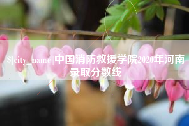 漳州中国消防救援学院2020年河南录取分数线