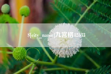 漳州九宫格42633